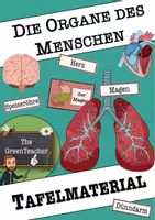 Vorschau - Arbeitsblätter - Materialpaket - Stationenlernen und Tafelmaterial Organe des Menschen - Seite 1