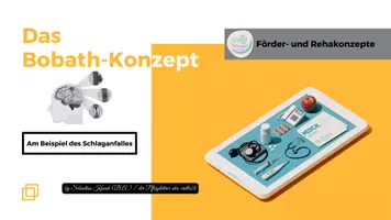 Vorschau - Stundenentwürfe - Der Apoplex und das Bobath-Konzept Teil I - Seite 3