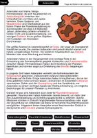 Vorschau - Arbeitsblätter - 22 Planeten - 11 Lückentexte + 11 Steckbriefe - Materialpaket - Seite 3