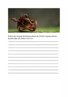 Vorschau - Arbeitsblätter - Rosten in der Chemie Text Grafik Aufgaben Lösung - Seite 2