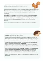 Vorschau - Arbeitsblätter - Überwinterungsstrategien (Winterschlaf, Winterruhe, Winterstarre) - Seite 1