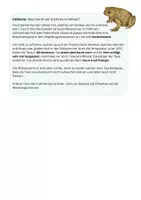 Vorschau - Arbeitsblätter - Überwinterungsstrategien (Winterschlaf, Winterruhe, Winterstarre) - Seite 2