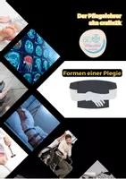 Vorschau - Poster - Die verschiedenen Formen der Plegie - Deckblatt