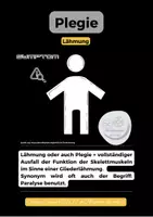 Vorschau - Poster - Die verschiedenen Formen der Plegie - Seite 1