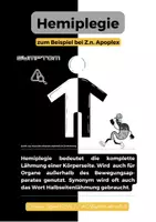 Vorschau - Poster - Die verschiedenen Formen der Plegie - Seite 3