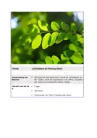Vorschau - Arbeitsblätter - Lichtreaktion der Photosynthese - Seite 1