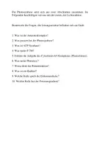 Vorschau - Arbeitsblätter - Lichtreaktion der Photosynthese - Seite 2