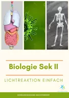 Vorschau - Arbeitsblätter - Lichtreaktion der Photosynthese - Deckblatt