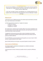 Aperçu - Apprentissages en autonomie - Puzzles - Mitres de saint Nicolas et Couleurs - Page 2