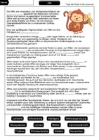 Vorschau - Arbeitsblätter - Affe Materialpaket - Sparpaket - Seite 2