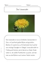 Vorschau - Stationenlernen - Der Wald - Kräuter (Steckbrief und Infotexte) - Seite 3