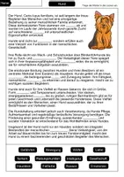 Vorschau - Arbeitsblätter - Lückentext Hund - Seite 1