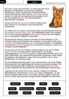 Vorschau - Arbeitsblätter - Lückentext Hund - Seite 2