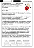 Vorschau - Arbeitsblätter - Marienkäfer Lückentext - Seite 1