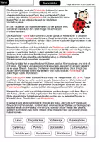 Vorschau - Arbeitsblätter - Marienkäfer Lückentext - Seite 2