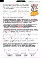 Vorschau - Arbeitsblätter - Maus Lückentext - Seite 2