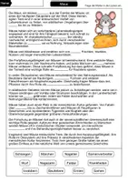 Vorschau - Arbeitsblätter - Maus Lückentext - Seite 1