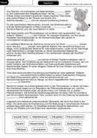 Vorschau - Arbeitsblätter - Nashorn Lückentext - Seite 1