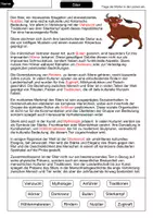 Vorschau - Arbeitsblätter - Lückentext Stier - Seite 2