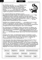 Vorschau - Arbeitsblätter - Lückentext Stinktier - Seite 1