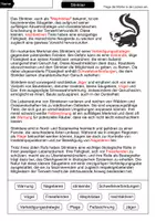 Vorschau - Arbeitsblätter - Lückentext Stinktier - Seite 2