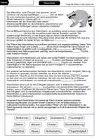 Vorschau - Arbeitsblätter - Lückentext Waschbär - Seite 1