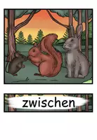 Vorschau - Präsentationen/Tafelbilder - Präpositionen "Wo ist das Eichhörnchen?" Bildkarten Wortkarten - Tiere im Wald - DaZ / DaF / Deutsch - Seite 3