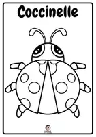 Aperçu - Jeux - Coloriage insecte en noir et blanc version fr - Page 3