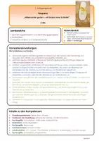 Vorschau - Lehrpläne/Lehrermaterial - Schleife binden - Schuh - Sequenzplanung - Seite 2