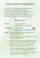 Vorschau - Test - Lernzielkontrolle Auge - Seite 1