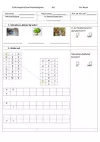 Vorschau - Arbeitsblätter - Ist-Standserhebung/Einstufungstest/Sprachstandsdiagnosebogen zur Feststellung des Sprachniveaus von DaZ-Schülern - Deckblatt