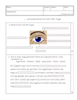 Vorschau - Test - Lernzielkontrolle Auge - Seite 2