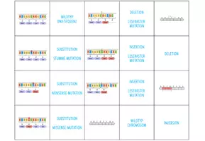 Vorschau - Spiele - Mutationen - 3x Aktivitäten und Spiele (Abitur) - Seite 2