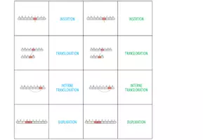 Vorschau - Spiele - Mutationen - 3x Aktivitäten und Spiele (Abitur) - Seite 3