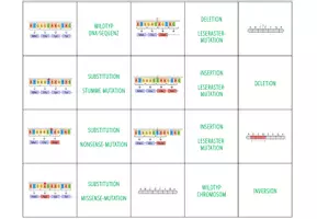 Vorschau - Spiele - Mutationen – Zuoordnungsaktivität / Paare Finden Spiel (Abitur) - Seite 3