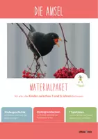 Vorschau - Spiele - DIE AMSEL - Kindergeschichte, Hintergrundwissen, Spielideen - Seite 1