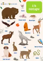 Aperçu - Apprentissages en autonomie - Affiche - Animaux La Montagne - Graines d'Optimisme - Page de couverture