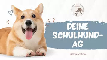 Vorschau - Arbeitsblätter - Webinar (Aufzeichnung!) und Materialpaket "Deine Schulhund-AG" - Seite 2