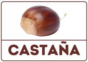 Vista previa - Tarjetas / Manipulativos - Iniciales otoño - página 1