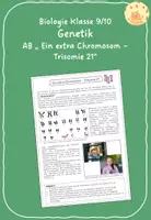Vorschau - Arbeitsblätter - Ein extra Chromosom - Trisomie 21 - Deckblatt