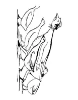 Aperçu - Matériel pour travaux manuels / dessin - Cahier de coloriage humoristique - Humorous coloring pages - Page 3