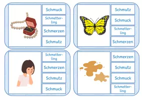 Vorschau - Spiele - Lesestufe 8: schl-schm-schn-schw - Klammerkarten - Seite 1