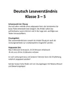 Vorschau - Arbeitsblätter - Deutsch Leseverständnis Weihnachten Fragen zum Text Klasse 2-5 - Seite 2