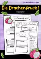 Vorschau - Arbeitsblätter - Steckbrief Drachenfrucht - Deckblatt