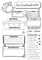 Vorschau - Arbeitsblätter - Steckbrief Drachenfrucht - Seite 2