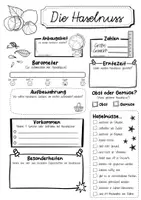 Vorschau - Arbeitsblätter - Steckbrief Haselnuss - Seite 2