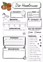 Vorschau - Arbeitsblätter - Steckbrief Haselnuss - Seite 1