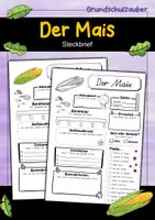 Vorschau - Arbeitsblätter - Steckbrief Mais - Deckblatt