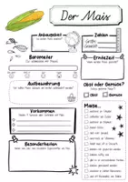 Vorschau - Arbeitsblätter - Steckbrief Mais - Seite 1