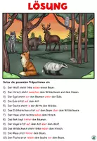 Vorschau - Arbeitsblätter - Übung "Wo sind die Tiere im Wald?" Präpositionen - DaZ / DaF / Deutsch - Seite 3